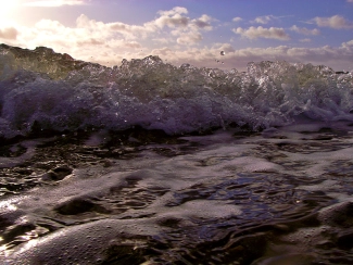 Waterproof Waterproof