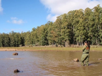 Packed with obstacles Packed with obstacles