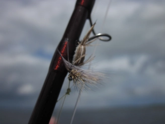 Gray Humpy Gray Humpy