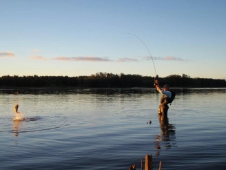 The sky is the limit The sky is the limit