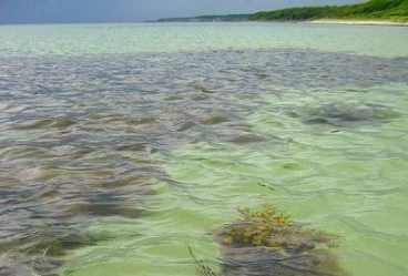 Almost tropical Almost tropical