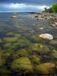 Clear water Clear water