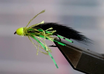 Green Ronker Green Ronker