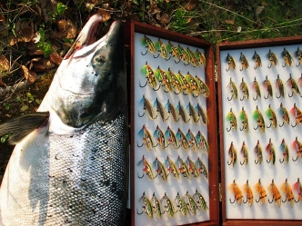 Black Doctor strikes again Black Doctor strikes again