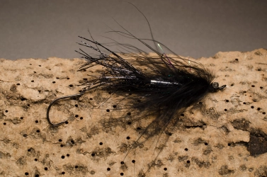 Black Intruder Black Intruder