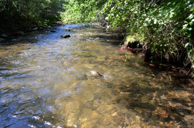 Sunshine and a clear, flat river Sunshine and a clear, flat river