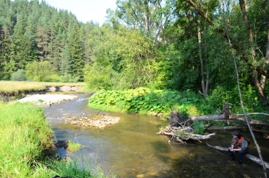 Spotting and observing Spotting and observing