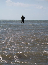 Bright and murky Bright and murky