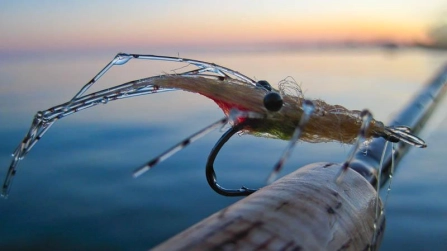 Kerns Perfect Leo Shrimp outdoors Kerns Perfect Leo Shrimp outdoors