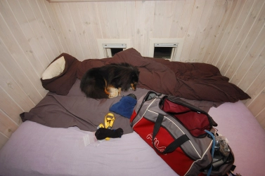 Special privileges Special privileges