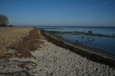 Amager south beach Amager south beach