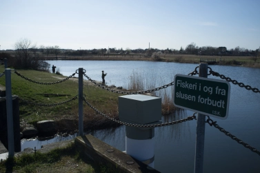 Perch lake on Great Vejle Stream Perch lake on Great Vejle Stream