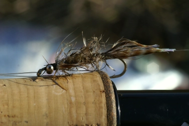 The fly The fly