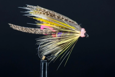 Wet fly Wet fly
