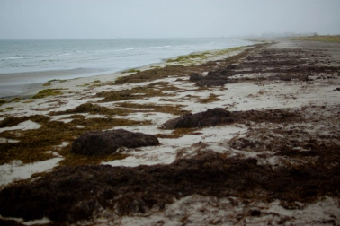 The open ocean The open ocean