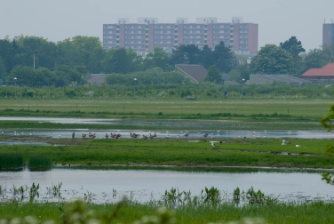 Ishoej area Ishoej area