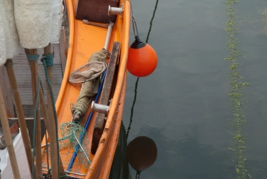 Harbor impressions Harbor impressions