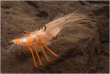 Orange shrimp Orange shrimp