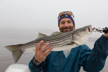 Happy Jamie! Happy Jamie!