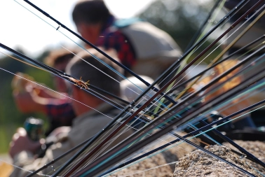 Rods resting Rods resting