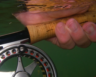 Truly underwater Truly underwater