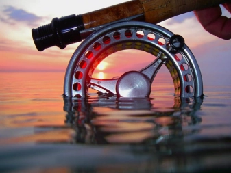 In the salt In the salt