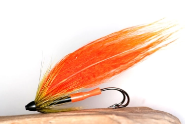 Orange Racoon Orange Racoon