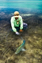 Seychelles release Seychelles release