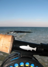 Moyerfokker Moyerfokker