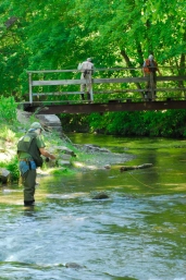 Anglers looking for trout holding spots from bridge. Mill Race at the Yellow Breeches, PA Anglers looking for trout holding spots from bridge. Mill Race at the Yellow Breeches, PA