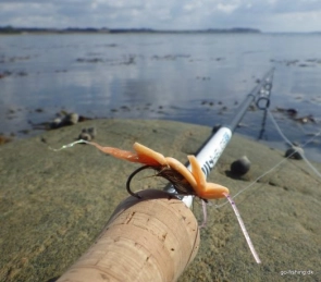Foam fly on hook Foam fly on hook