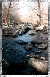 Small stream Small stream