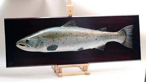Salmon mount - still a wood carving Salmon mount - still a wood carving