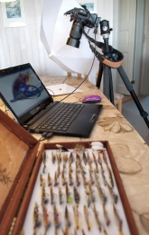 The setup The setup