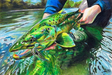 Brownie Release Brownie Release