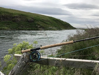 Rod resting on the bank Rod resting on the bank