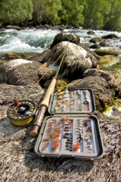 Basic ingredients Basic ingredients