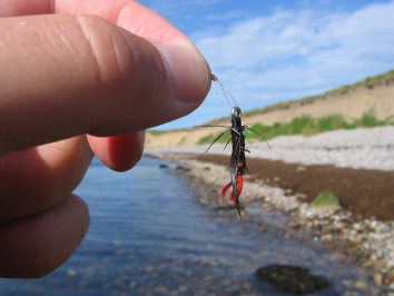 A snag did this A snag did this