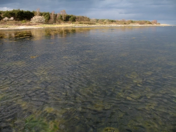 Rocky bottom Rocky bottom