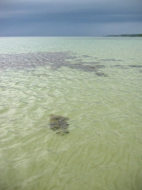 Dark clouds Dark clouds