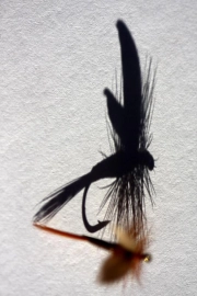 Twilight beauty shadow Twilight beauty shadow