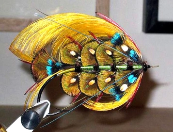 Lady Madonna Lady Madonna