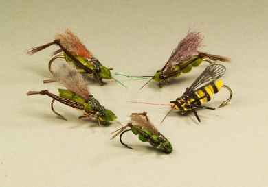 Bugs Bugs