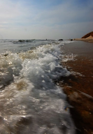 Surf Surf