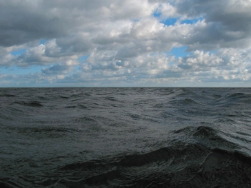 Choppy Choppy