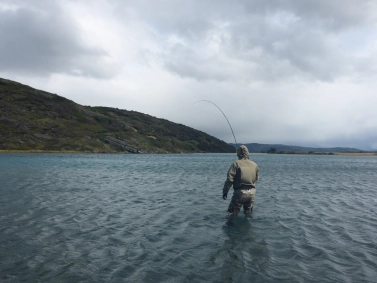 Nice backdrop Nice backdrop