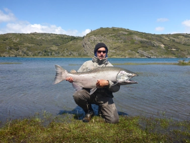 A good size chinook A good size chinook