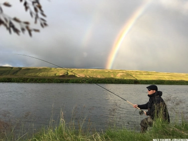 Under the rainbow Under the rainbow