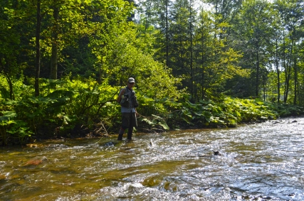 Patience while fighting was required Patience while fighting was required