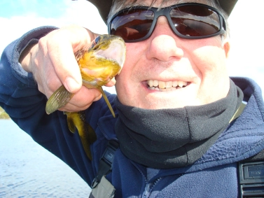 An Assynt Brownie An Assynt Brownie